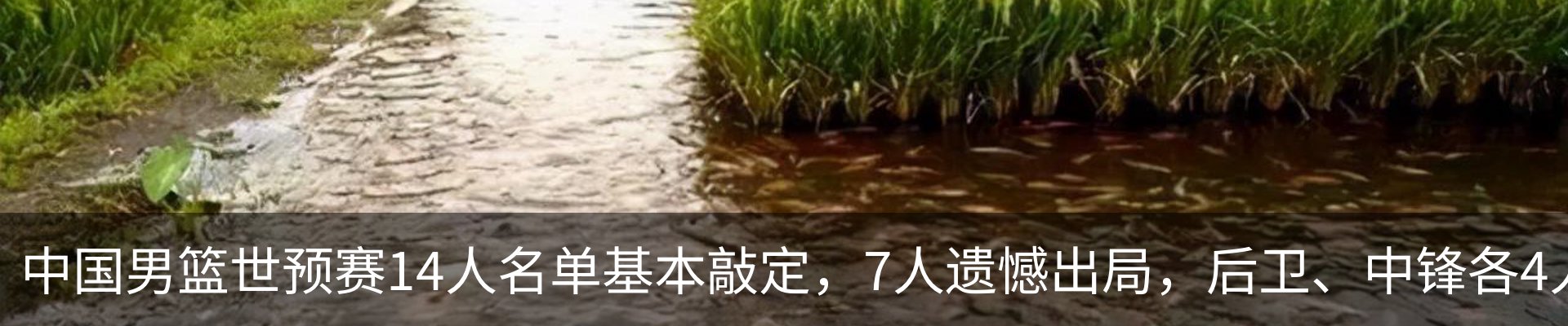 内页banner